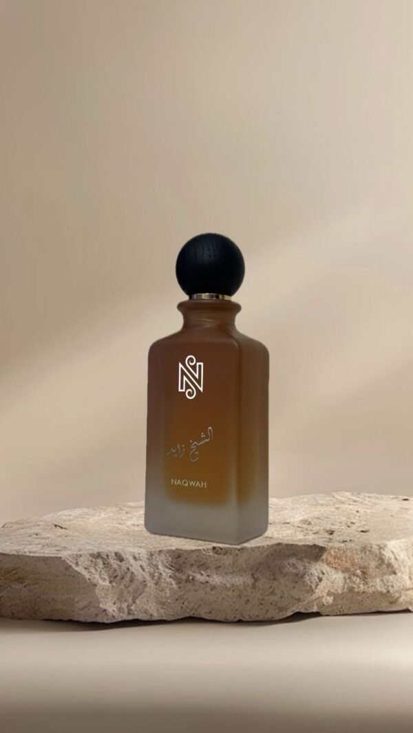 الشيخ زايد